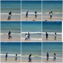 제주시 창민요 | [여행] 제주 3일차🌊