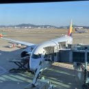 562 | 로마 인천 아시아나 OZ562 탑승 후기 기내식 좌석 비행시간 총정리