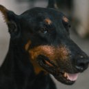 아이똑똑동탄 이미지