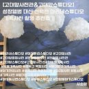 일석빌딩 | [고대앞사진관&amp;고대앞스튜디오] 성장앨범 대신 선택한 마리네스튜디오 가족사진 촬영 추천후기