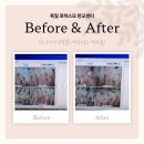 유워시 분당 판교 센터 | 분당두피관리 독일 로하스모 판교 센터 방문 후기 : 시어머니 두피 솔루션