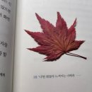 행복해질 개 이미지