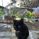 황토스테이일칠구(황토스테이179) 이미지