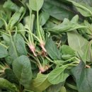 자연대로4 이미지