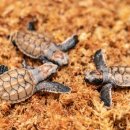 아쿠아플라넷 여수 이미지