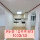 연제구-171 이미지