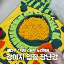 입질하는 강아지 장난감추천 버디부 버디볼과 버디츄 노즈워크 장난감까지 내돈내산 아이템
