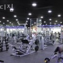 포바디짐 이미지