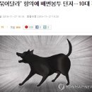 &#34;개 목줄 묶어달라&#34; 항의에 배변봉투 던져 이미지