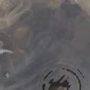 수진좌대2 이미지