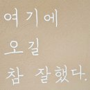 행복한 강아지 | 강아지와 함께 행복한 하루 🐾 남양주 영원이애견카페 방문 후기