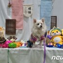 마이팀페어스 이미지