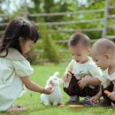 [이진원 목사의 교육 칼럼] 교회력 따라 걷는 다음세대 쉐마코칭 (15) 이미지