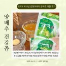 건강즙 위건강 양배추엑기스 추천 안동마데이 양배추마즙 직접 마셔본 후기