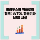 볼라투스 이미지