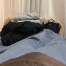 메디퀸스