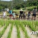 따오기품은 세진마을 이미지