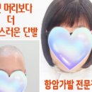 끌림앤유 - 8561 | 끌림앤유