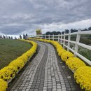먹거리천국 | 가을 먹거리 천국 임실 치즈 축제 후기