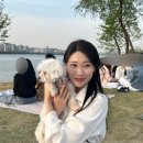 반포한강공원-31 (옥외) | [일상] 강아지랑 “반포한강공원” 피크닉 후기 (+꿀팁, 명당자리, 배달픽업존, 무지개분수시간)🌈