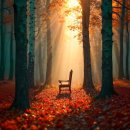 Relaxing Autumn October, Fall Color in New England🍁Peaceful Relaxing Music 이미지