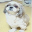 진목(2) 이미지