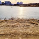 업성수변로 이미지