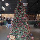 비응남로 | 군산 대형카페 추천 새만금 뷰 내돈내산 후기