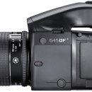 Phase(페이즈) 이미지