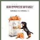 펫고고 이미지