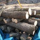 계룡 농장 이미지