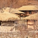 국도5호선 가로수길(의성) | 감성 가득 가을 기차 여행, 한국 여행지 추천