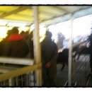 초방리 축사 이미지