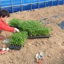 정식농장 이미지