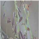 데코라인 이미지