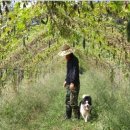 여주-0786 이미지