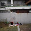 용호1동 체육공원 이미지