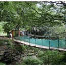 억수농장 이미지