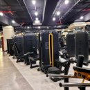 휘트니스 더 레이 이미지