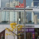 영신할인마트 이미지