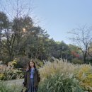 물향기 유치원 | 오산 가볼만한곳 물향기수목원 도심 속 가을단풍 힐링! 가족 나들이 입장료 무료