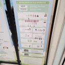 엔플라잉 오피셜 캐릭터 팝업 스토어 후기 (N.FlyingOFFICIAL CHARACTER POP-UP STORE 'Into Bloom’)