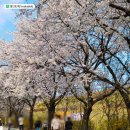 백운호수 주차장 이미지