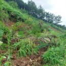 윤씨네농장 | 2022년 8월13일~15일