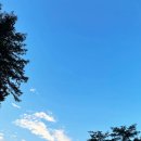 [Summer] 충북 제천 ● 덕동계곡오토캠핑장_여름엔 계곡 바로 앞 시원한 캠핑장 추천 C9 데크