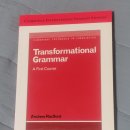 transformational grammar 트포 이미지