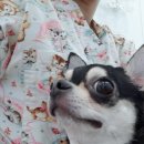 광교 우리들동물병원 이미지