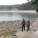 솔향기힐링펜션 이미지