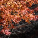 부자만드는공인중개사사무소 네이버블로그