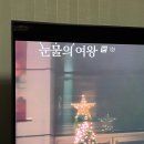 빨래가 바람에 제 몸을 맡기는 것처럼 인생도 바람에 맡기는 거야